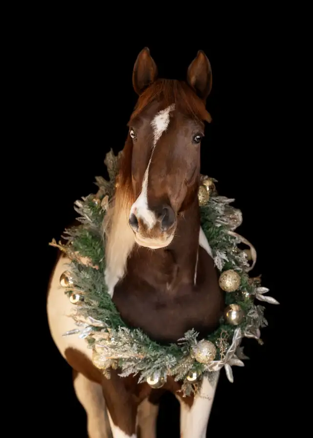 Paint Draft X FS - Photo 3