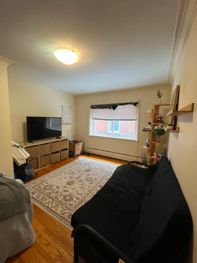 Bachelor suite on Hargrave-Sublet - Photo 2