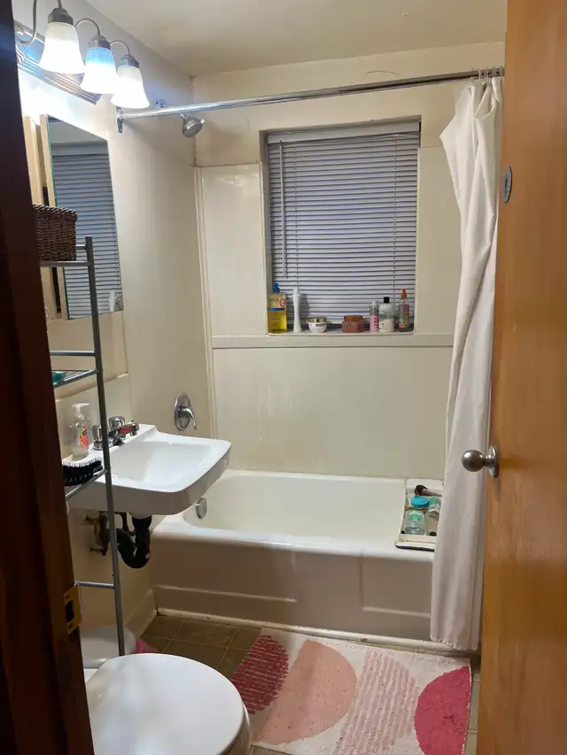 Bachelor suite on Hargrave-Sublet - Photo 6