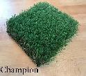 AUBAINE – GAZON SYNTHÉTIQUE  / BARGAIN – SYNTHETIC TURF