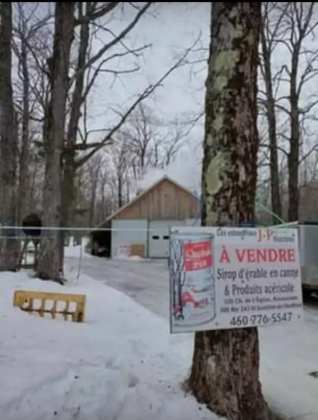 Sirop d'érable saison 2026 - Photo 6