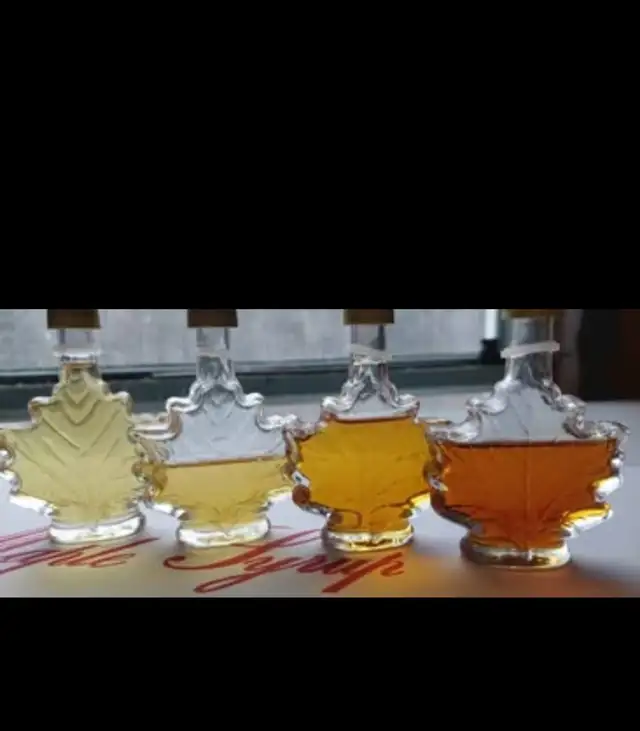 Sirop d'érable saison 2026 - Photo 9