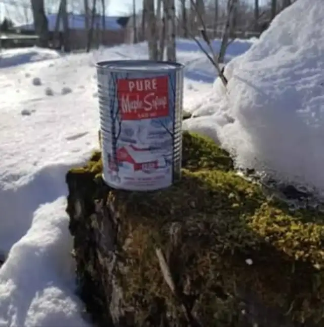 Sirop d'érable saison 2026 - Photo 10