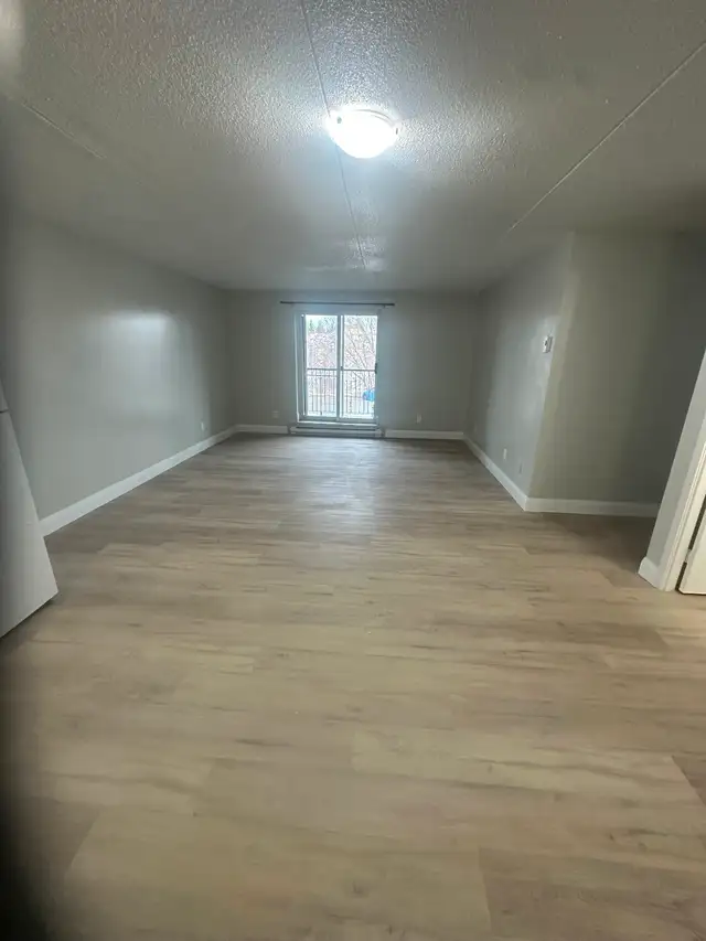 Main Floor 3 Bedroom Apartment Available Now in Minnow Lake Area - Photo 2