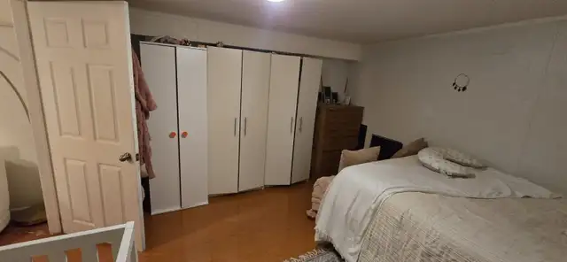 One Bedroom basement apartment - Yonge and Steels - Photo 3