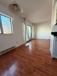Spacious pet-friendly 2 BR/1BA apartment