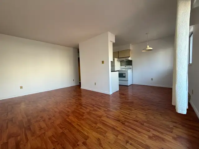 Spacious pet-friendly 2 BR/1BA apartment - Photo 2