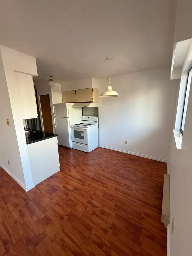 Spacious pet-friendly 2 BR/1BA apartment - Photo 3
