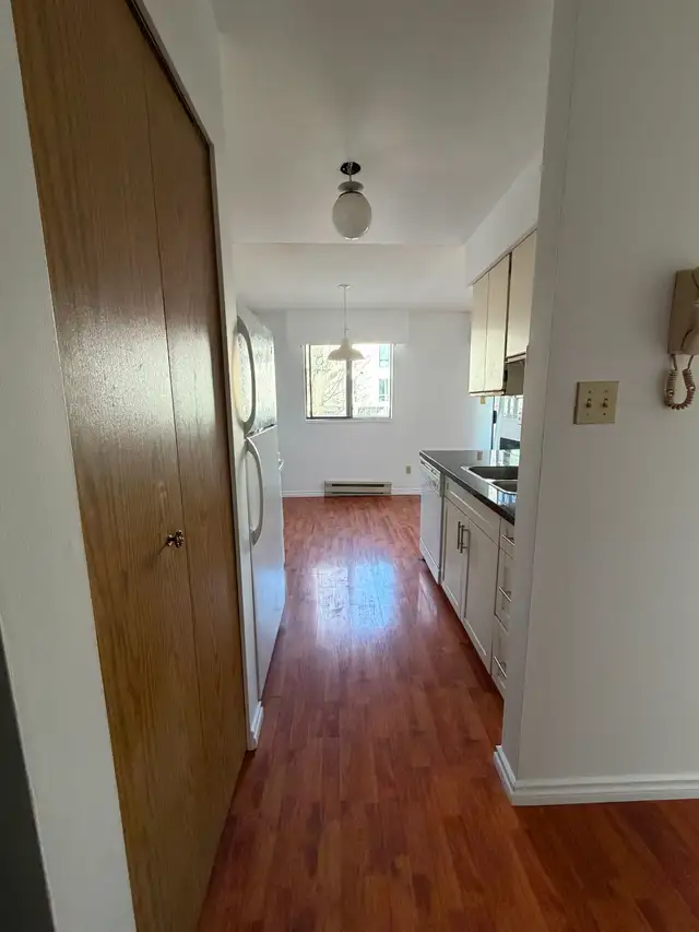 Spacious pet-friendly 2 BR/1BA apartment - Photo 4