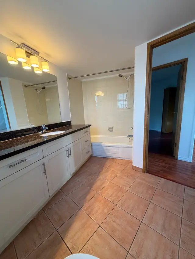 Spacious pet-friendly 2 BR/1BA apartment - Photo 11