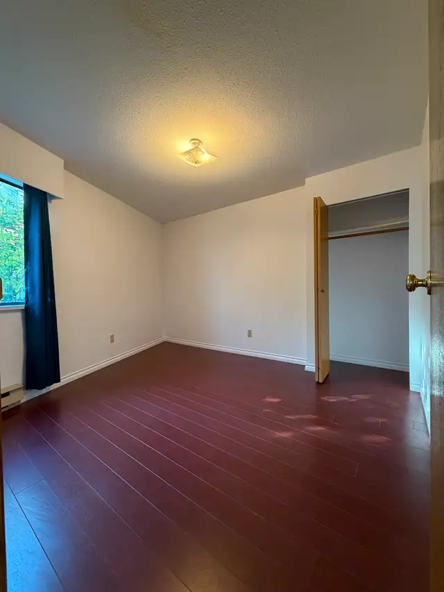 Spacious pet-friendly 2 BR/1BA apartment - Photo 12