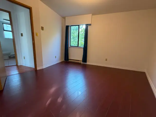 Spacious pet-friendly 2 BR/1BA apartment - Photo 13