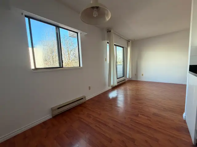 Spacious pet-friendly 2 BR/1BA apartment - Photo 14