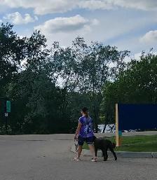 PROFESSIONAL DOG TRAINER/PRIVATE TRAINING/OR BOARD &TRAIN - Photo 4