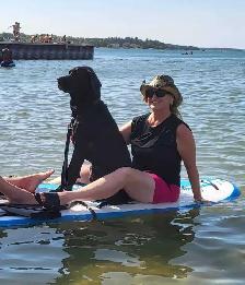 PROFESSIONAL DOG TRAINER/PRIVATE TRAINING/OR BOARD &TRAIN - Photo 5