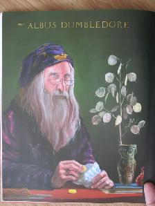 HARRY POTTER, A HISTORY OF MAGIC - 2018 SC - Photo 4