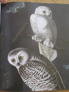 HARRY POTTER, A HISTORY OF MAGIC - 2018 SC - Photo 8