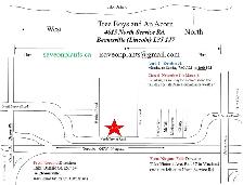 Local  Grown  Cedars, Boxwoods, Yews, Japanese Maples Trees - Photo 2