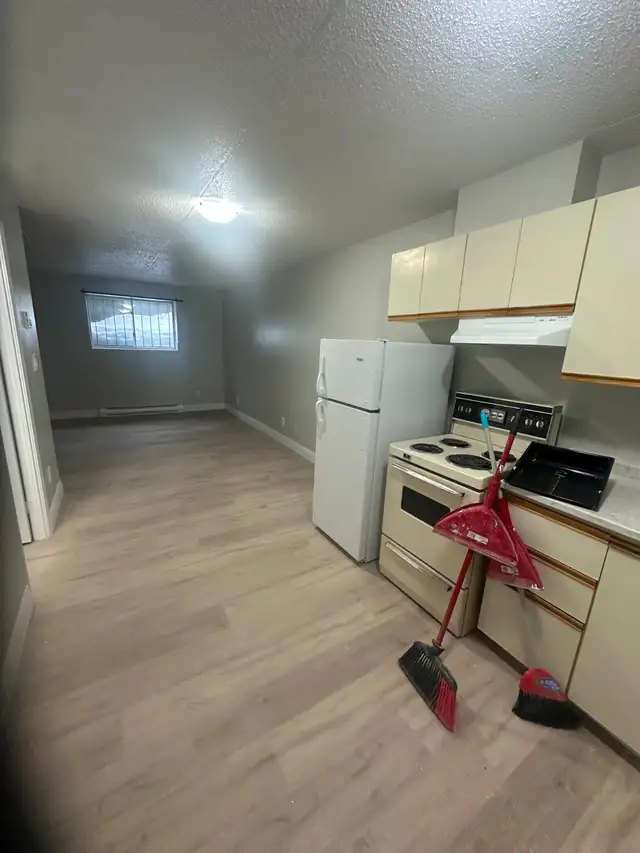 Bachelor Available Now in Minnow Lake