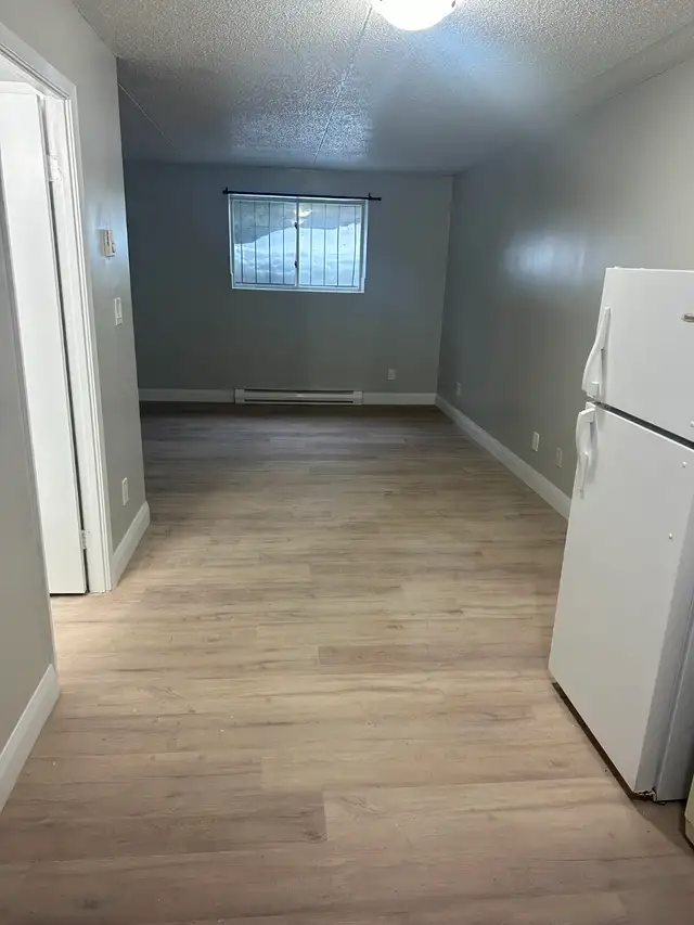 Bachelor Available Now in Minnow Lake - Photo 2