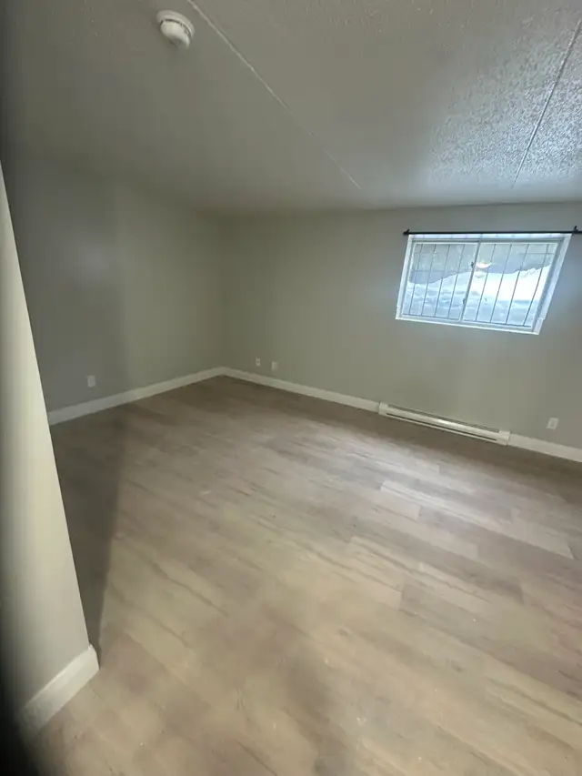 Bachelor Available Now in Minnow Lake - Photo 4