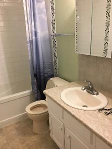 MAIN FLOOR 3 BEDROOM HOUSE WEST HILL - Photo 5