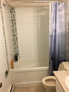 MAIN FLOOR 3 BEDROOM HOUSE WEST HILL - Photo 6