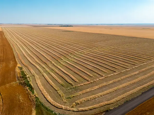 1,254 Acres | RM of Wolseley #155 | Near Grenfell & Wolseley, SK - Photo 7