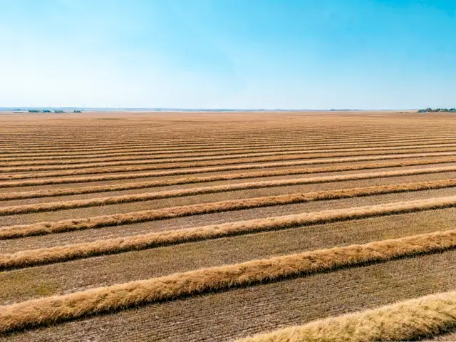 1,254 Acres | RM of Wolseley #155 | Near Grenfell & Wolseley, SK - Photo 9