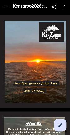 Freelance Google Ads Specialist - Photo 8