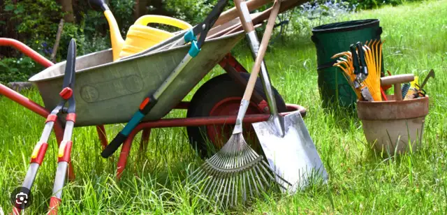 Yard Spring Cleaning Services