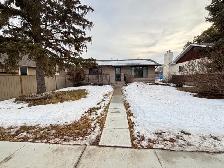 No Pet Alligators or Pet Amoebas