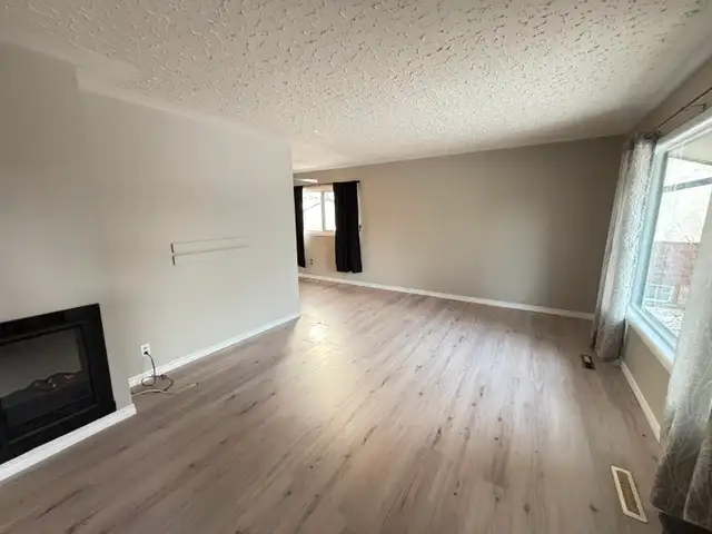 No Pet Alligators or Pet Amoebas - Photo 2