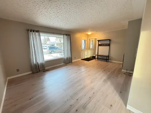 No Pet Alligators or Pet Amoebas - Photo 3