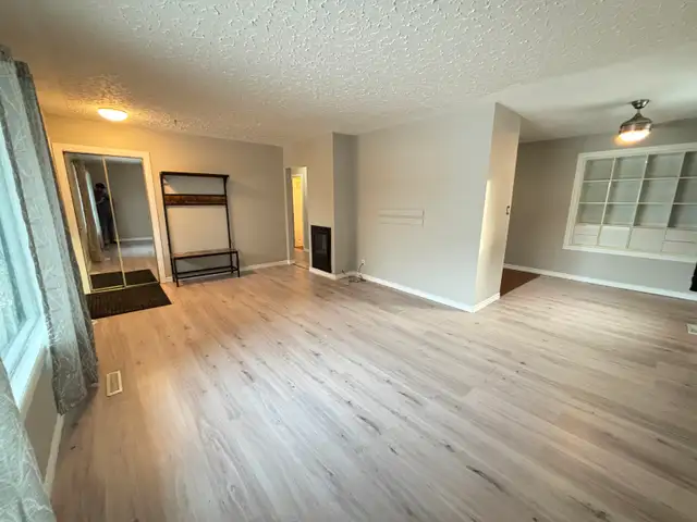 No Pet Alligators or Pet Amoebas - Photo 4