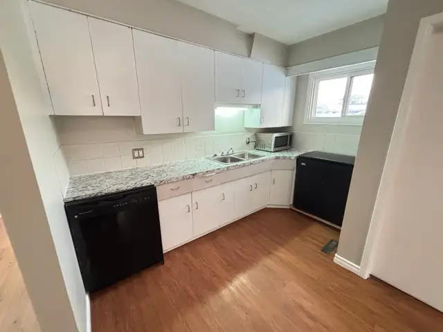 No Pet Alligators or Pet Amoebas - Photo 6