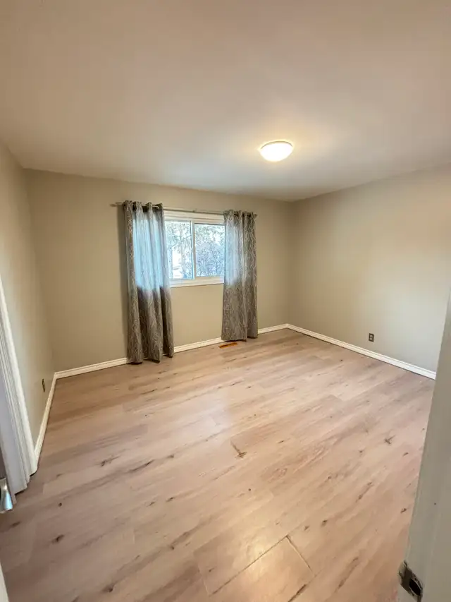 No Pet Alligators or Pet Amoebas - Photo 8