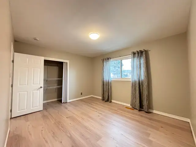 No Pet Alligators or Pet Amoebas - Photo 9