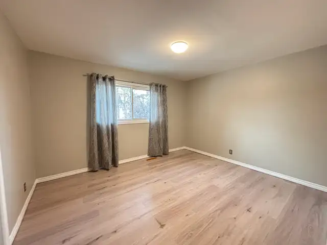 No Pet Alligators or Pet Amoebas - Photo 10