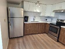 Entire Basement for Rent from April 1 or March 2026, Scarborough