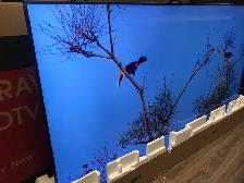 HDR Sony X75K 55' 4K UHD HDR LED Smart Google TV KD55X75K - Photo 8