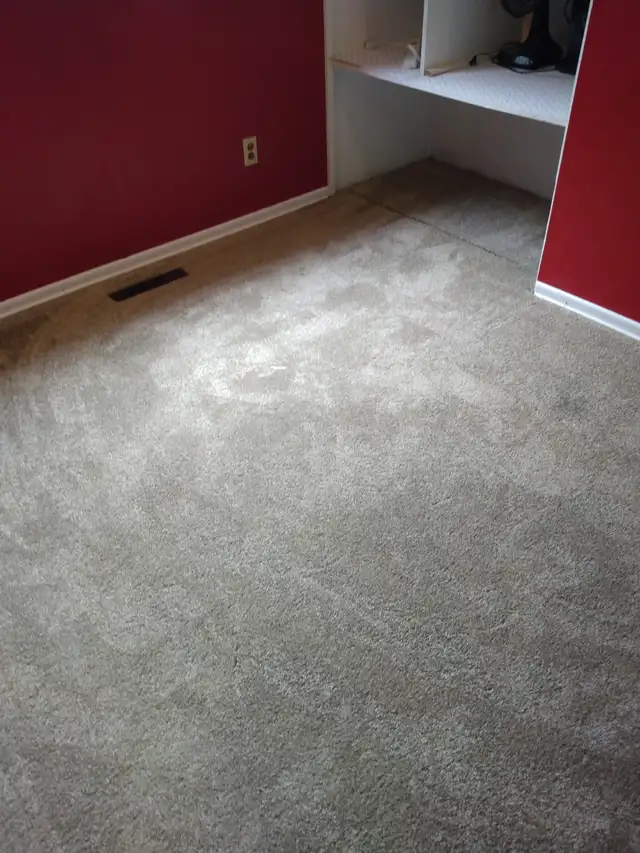 Room for Rent & House Share in Sherwood Park - Photo 4