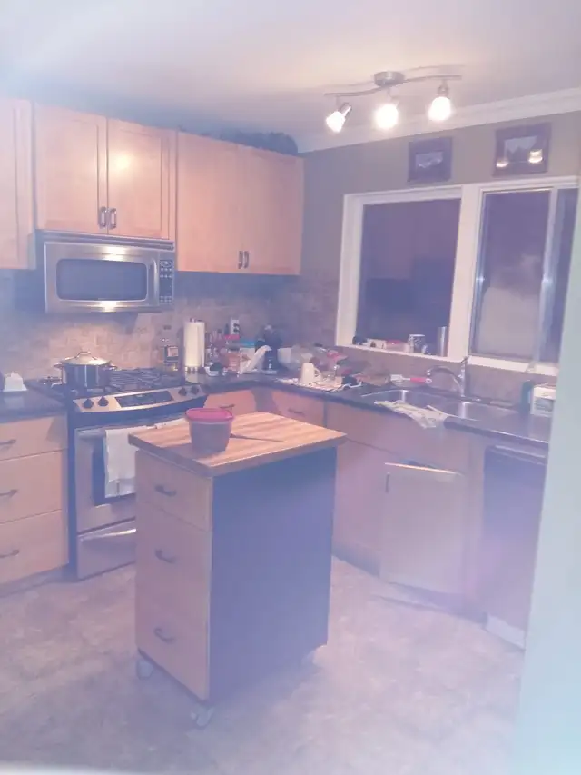 Room for Rent & House Share in Sherwood Park - Photo 6