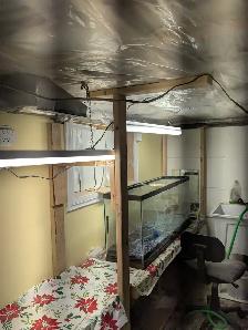 Free Wood and other stuff - Photo 2