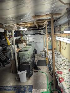 Free Wood and other stuff - Photo 3