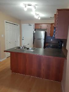 2 bedroom MAIN FLOOR unit on SW Hill - Photo 4