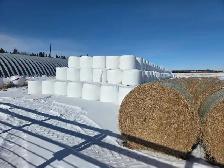 Oats Silage bales