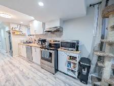 237A Scott St - All Inclusive Bachelor Apartment