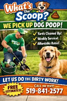 Dog Waste Removal