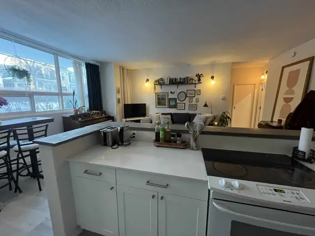 2 Bed 1 bath Renovated Apartment South End Halifax - Photo 3